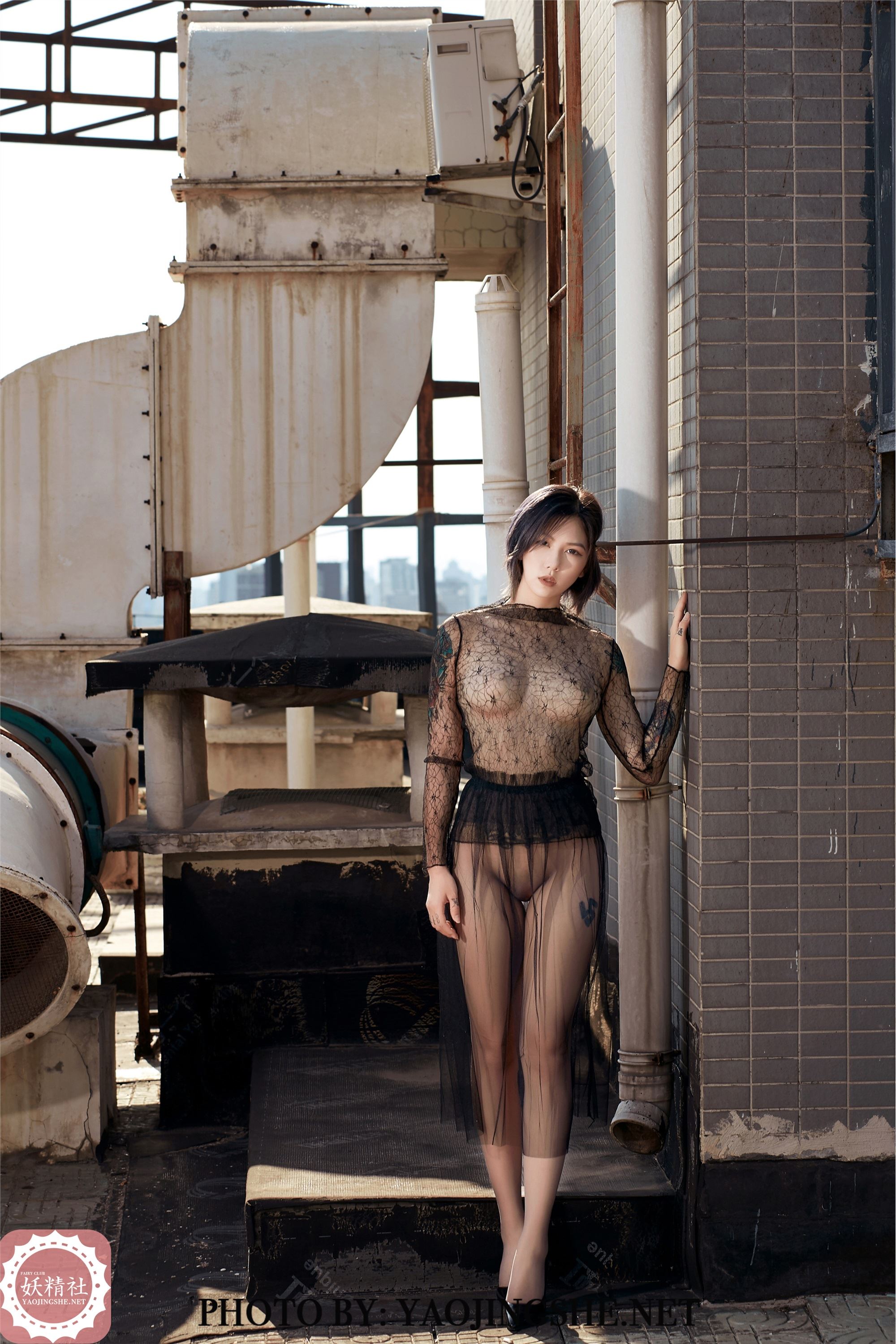 妖精社  2020.01.07 V2002 菊花 《望京》